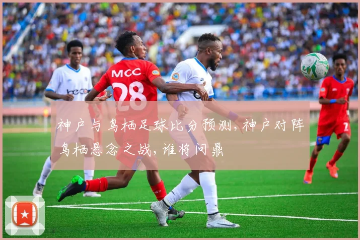 神户与鸟栖足球比分预测,神户对阵鸟栖悬念之战,谁将问鼎